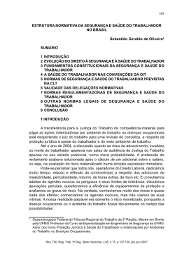 Estrutura Normativa da Seguran&ccedil;a e Sa&uacute;de do