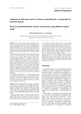RPCV 3 - Universidade de &Eacute;vora