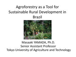 Agroforestry as a Tool for Sustainable Rural Development in Brazil