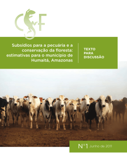 Subsídios para a pecuária e a conservação da floresta: estimativas