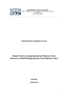 Disserta&ccedil;&atilde;o _Jasonias Neves Andrade da Silva