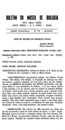 BULEUM BB MIISEII IIE Blﬂlﬂﬁlü