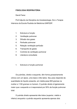 FISIOLOGIA RESPIRAT&Oacute;RIA David Ferez Prof Adjunto da