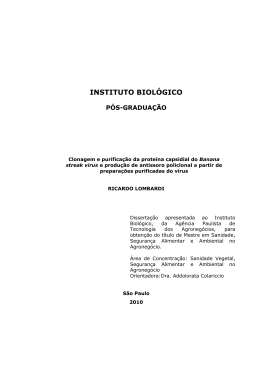 Disserta&ccedil;&atilde;o de Ricardo Lombardi
