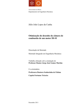 J&uacute;lio Jo&atilde;o Lopes da Cunha Otimiza&ccedil;&atilde;o do desenho da c&acirc;mara de