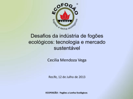 Desafios da indústria de fogões ecológicos: tecnologia e
