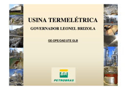 apresenta&ccedil;&atilde;o da planta