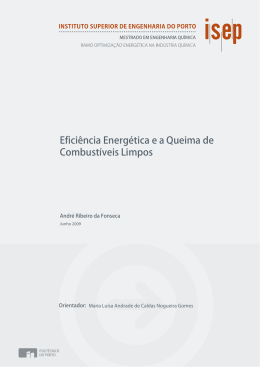 Efici&ecirc;ncia Energ&eacute;tica e a Queima de Combust&iacute;veis Limpos