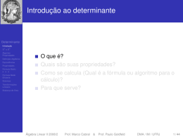Determinante - Laborat&oacute;rio de Matem&aacute;tica Aplicada