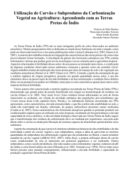 Utilizacao de Carvao e Subprodutos da Carbonizacao