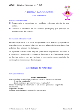 Gui&atilde;o do Professor - Ci&ecirc;ncia e Tecnologia na Escola