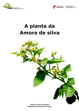 A planta da Amora de silva - Instituto Nacional de Investiga&ccedil;&atilde;o