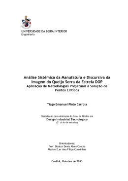 Disserta&ccedil;&atilde;o - Universidade da Beira Interior
