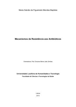 Mecanismos de Resist&ecirc;ncia aos Antibi&oacute;ticos - Maria Galv&atilde;o