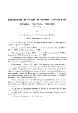 Stenopodinae da colecäo do Instituto Oswaldo Cruz