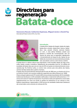 Directrizes para regenera&ccedil;&atilde;o - Crop Genebank Knowledge Base