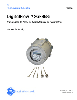 DigitalFlow&trade; XGF868i - GE Measurement & Control