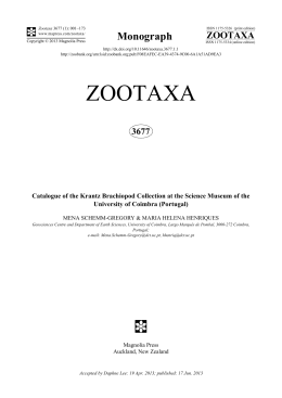 zootaxa - Magnolia Press