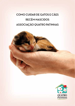 como cuidar de gatos e cães recém-nascidos