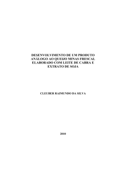 DISSERTA&Ccedil;&Atilde;O_Desenvolvimento de um produto an&aacute;logo