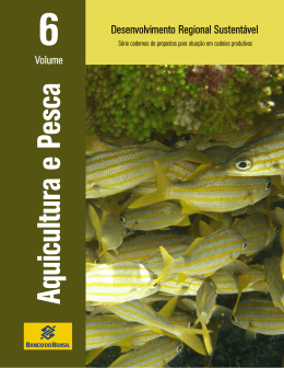 Volume Desenvolvimento Regional Sustent&aacute;vel