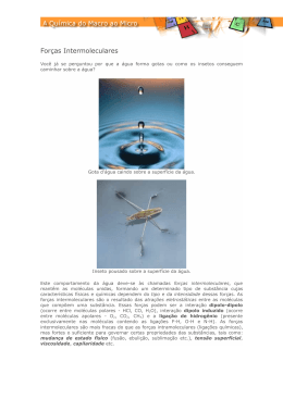 For&ccedil;as Intermoleculares