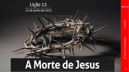 Li&ccedil;&atilde;o 12