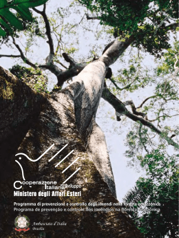 1 - Ambasciata d`Italia a Brasilia