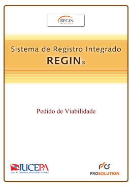 Manual de Viabilidade REGIN Tamanho do arquivo 1