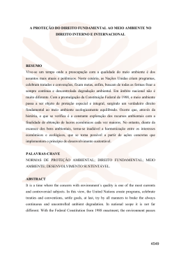 A PROTE&Ccedil;&Atilde;O DO DIREITO FUNDAMENTAL AO MEIO AMBIENTE
