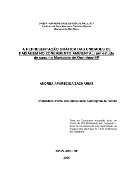 A REPRESENTA&Ccedil;&Atilde;O GR&Aacute;FICA DAS UNIDADES DE PAISAGEM