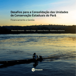 Desafios para a Consolida&ccedil;&atilde;o das Unidades de