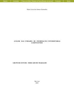 An&aacute;lise das Unidades de Informa&ccedil;&atilde;o universit&aacute;rias Ludovicenses