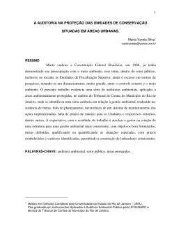 1 A AUDITORIA NA PROTE&Ccedil;&Atilde;O DAS UNIDADES DE