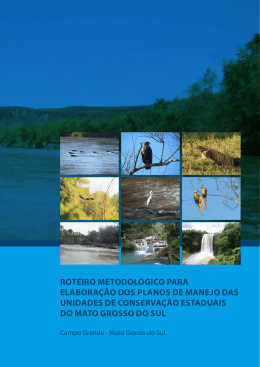 roteiro metodol&oacute;gico para elabora&ccedil;&atilde;o dos planos de