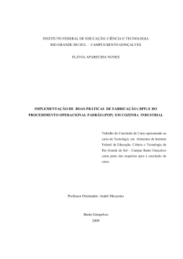 Fl&aacute;via Aparecida Nunes - Implementa&ccedil;&atilde;o de boas pr&aacute;ticas
