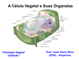 A Célula Vegetal e Suas Organelas