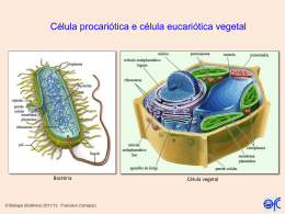 células procarióticas e eucarióticas