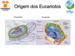 Origem dos eucariotos