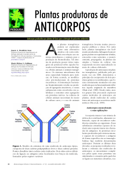 ANTICORPOS - Biotecnologia