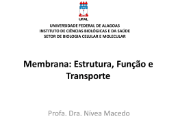 Membrana: Estrutura, Função e Transporte