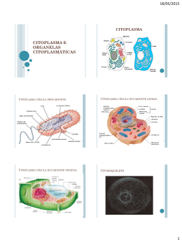 Biologia - Citoplasma e Organelas Citoplasmáticas