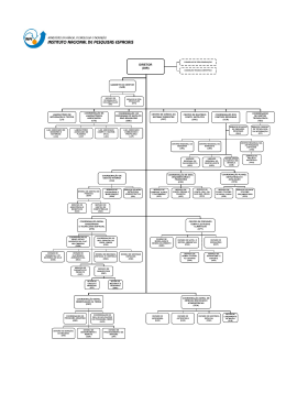 estrutura organizacional