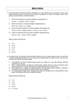 Grupo 2 - UniFOA