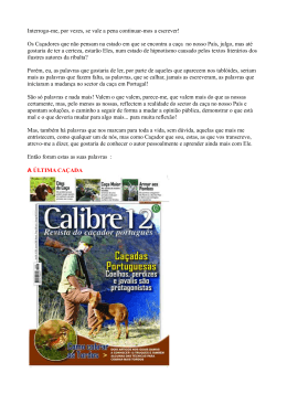 as palavras escritas que andam por ai...S. Huberto