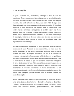 1. introdu&ccedil;&atilde;o - Biblioteca Digital de Teses e Disserta&ccedil;&otilde;es da UFMG