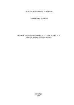 Monografia Diego Roberto Bilski