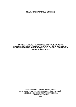 implanta&ccedil;&atilde;o, avan&ccedil;os, dificuldades e conquistas do