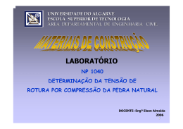 NP 1040 - Universidade do Algarve