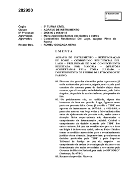 Ac&oacute;rd&atilde;o N. 282950 (2007)